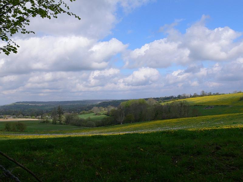 Mont Saint Michel 2010 - 109.jpg